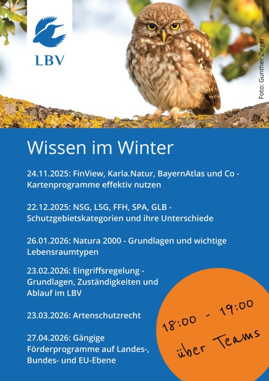Ein kleiner Kauz sitzt auf einem Ast vor einem LBV-Plakat, das Winter-Wissen über Naturschutzrecht ankündigt.