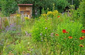 Naturnaher Garten mit einer Wildblumenwiese, Insektenhotel und Holzlattenzaun | © Thomas Staab