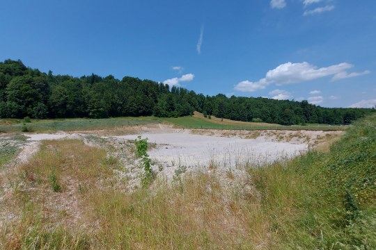 Abbaufläche als Sekundärhabitat | © Fabian Unger