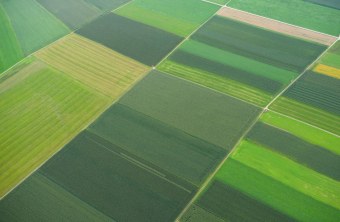Agrarlandschaft, aus der Luft fotografiert | © Dr. Olaf Broders