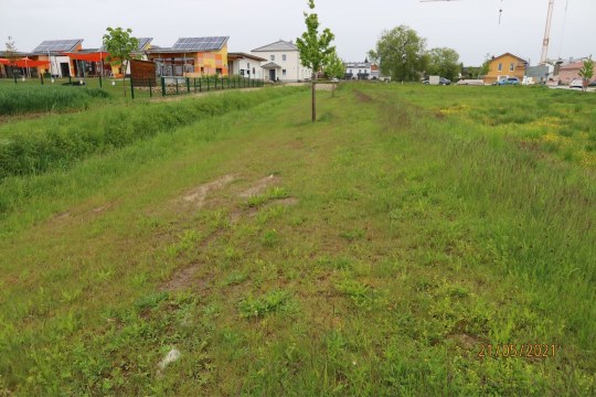 Ausgleichsflaeche Geisenfeld Negativbeispiel | © LBV