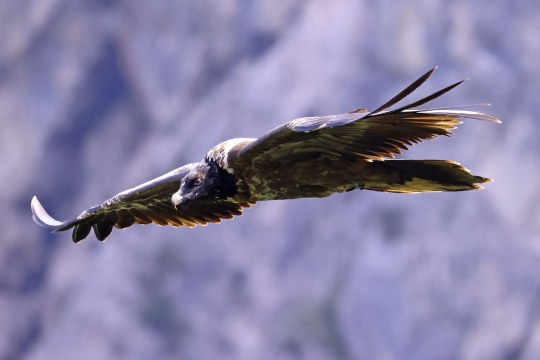 Bavaria | © Markus Leitner