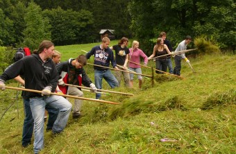 Neun Menschen haben einen Rechen in der Hand und rechen in einem Bergwald Gras | © R. Brode