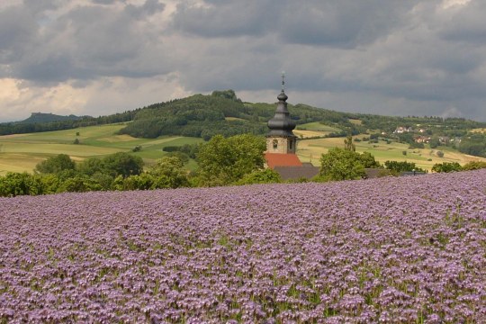 Feld mit Hankirche bei Prächting im Vorland der nördlichen Frankenalb | © M. Bäumler