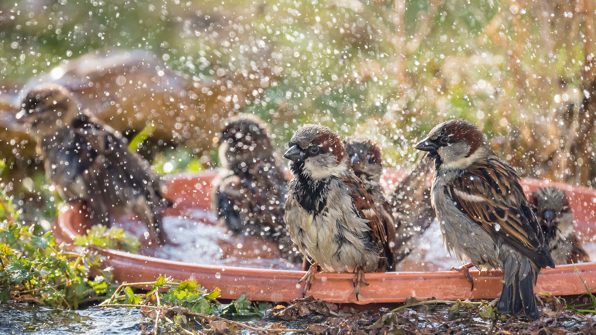 LBV Gemeinsam Bayerns Natur schützen LBV