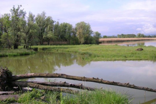 Ammersee-Süd | © Niederbichler