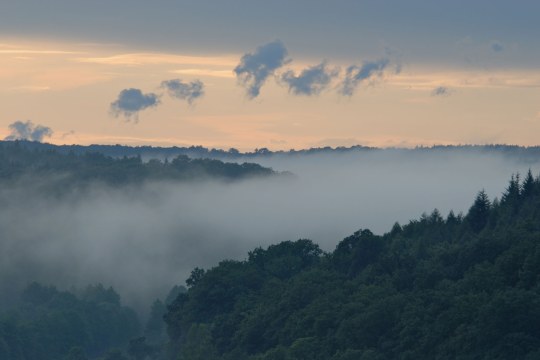 Steigerwald | © Thomas Stephan