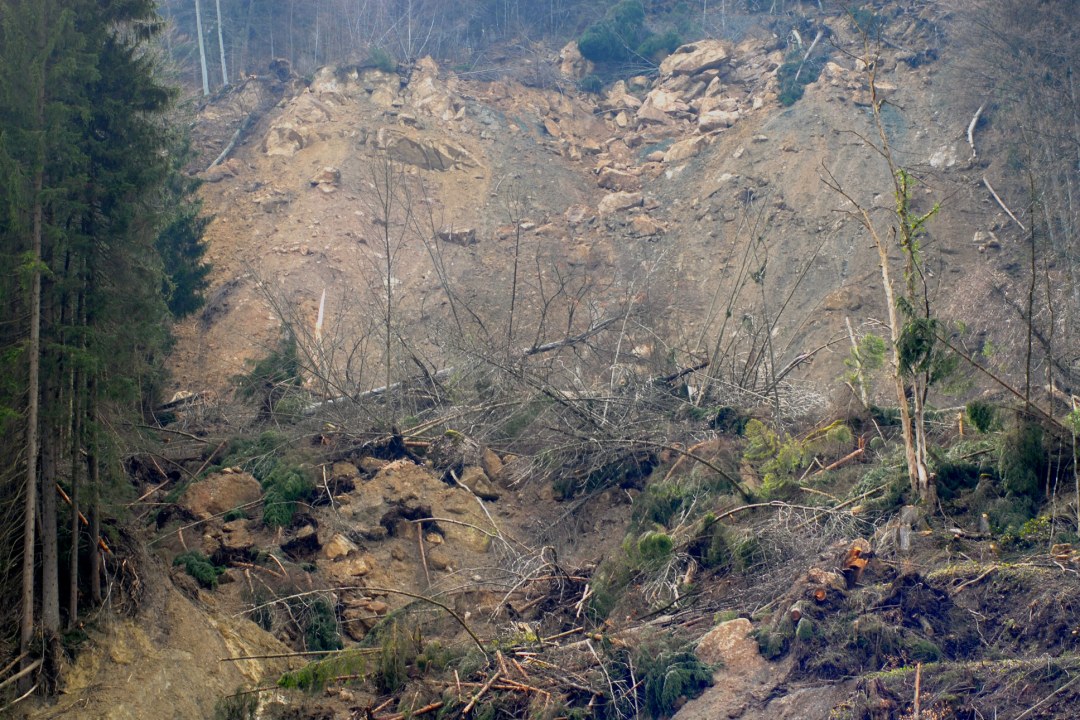 Murenabgang in den Bergen | © Henning Werth/LBV-Bildarchiv