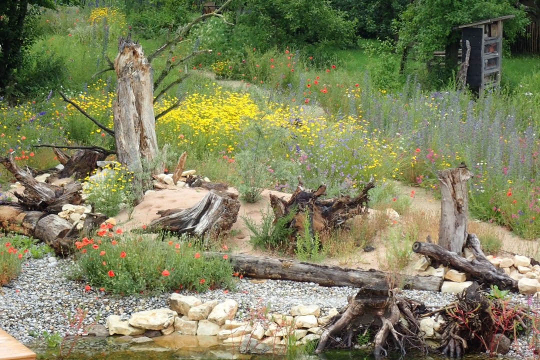 Naturnaher Garten | © Birgit Helbig