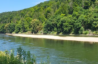 Eine Kiesbank in der Donau bei Straubing, umgeben von üppigem Grün, wird vom LBV für Naturschutz hervorgehoben.