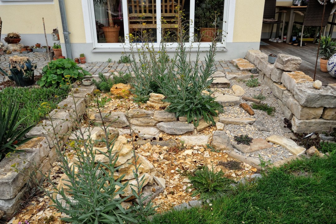 Trockenstandort im Naturgarten | © Wolfgang Bock