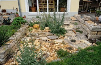 Trockenstandort im Naturgarten | © Wolfgang Bock