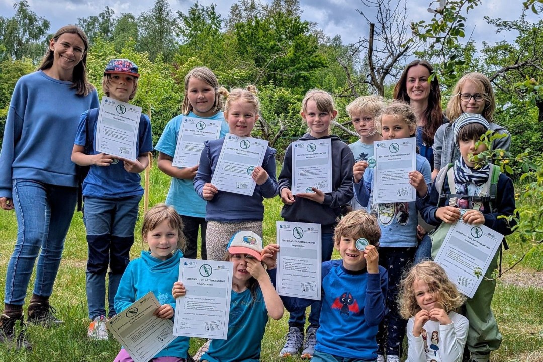 NAJU-Kindergruppe Fledermäuse in Kleinostheim mit Heupferdchen | © Michèle Väth