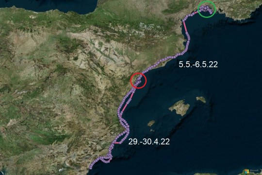 Karte | © Bing Aerial