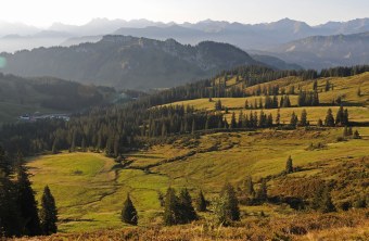 Riedberger Horn im Sommer | © Dr. Eberhard Pfeuffer