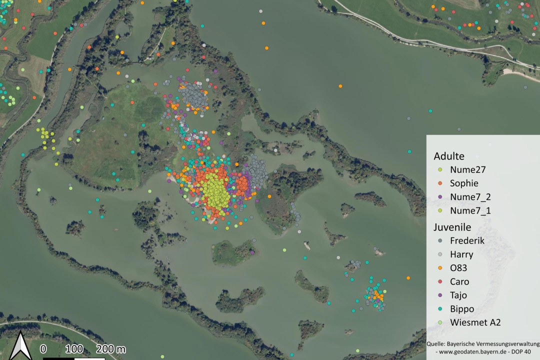 Satellitenkarte mit farbigen Punkten zeigt Vogelbewegungen in einem Feuchtgebiet. LBV-Studie zur Vogelbeobachtung | © LBV