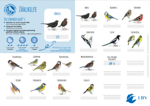 Zählhilfe zur Stunde der Wintervögel 2025