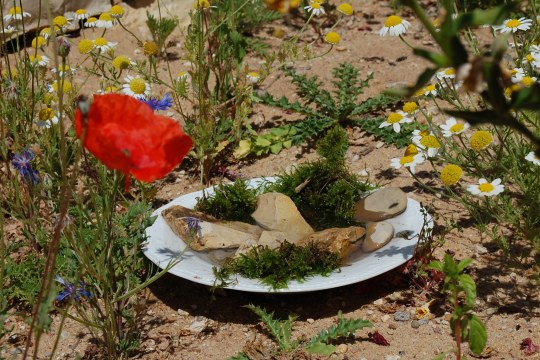 Selbstgemachte Insektentränke | © Sonja Dölfel