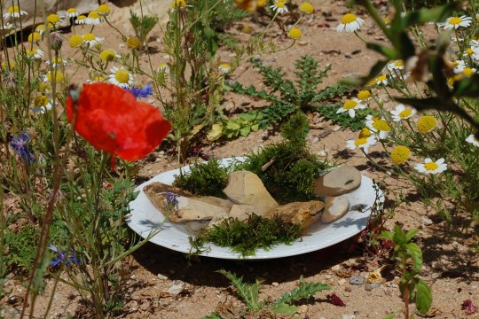 Selbstgemachte Insektentränke | © Sonja Dölfel