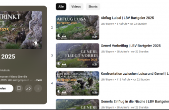 Webcamclips Bartgeiernische Playlist 2025  |© LBV