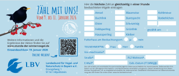 Zeitungsmeldebogen SdW 2026