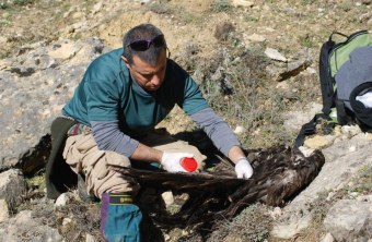 Inigo bei der Untersuchung eines Tatorts | © Privat