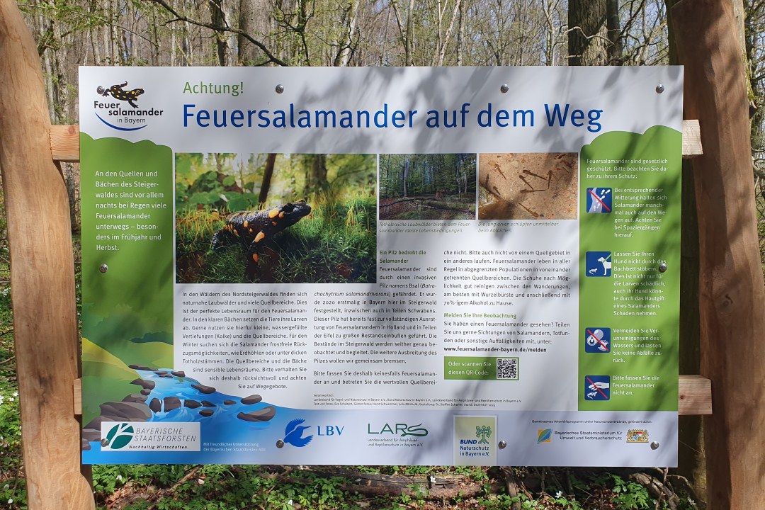 Infotafel im Steigerwald | © Malvina Hoppe