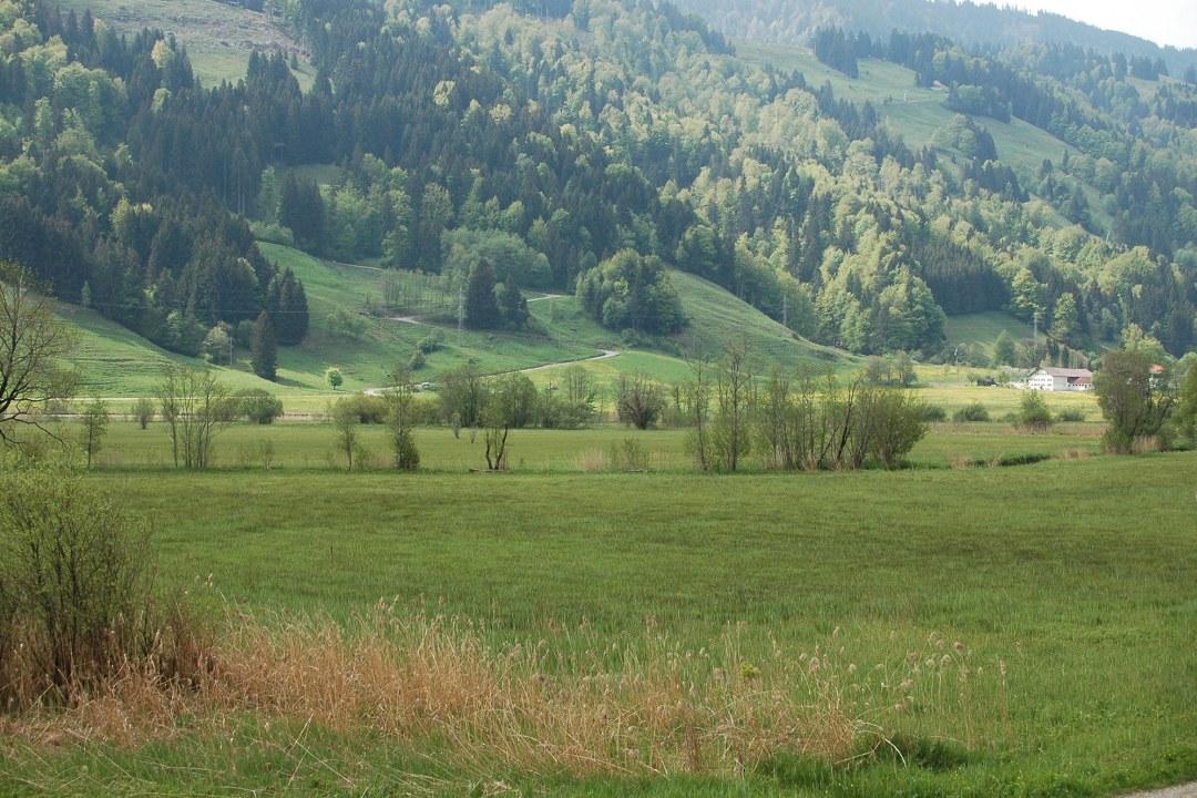 LBV Schutzgebiet Alpsee | © Eva Schubert