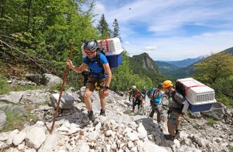 Aufstieg zur Nische für die Bartgeier | © Markus Leitner