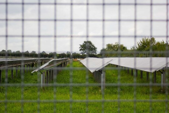 Ausgleichsfläche Ostallgäu Schwaben | © Daniel Schußmann