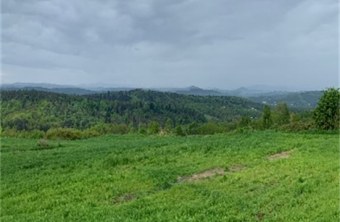 Offenland | © Dawn Chorus