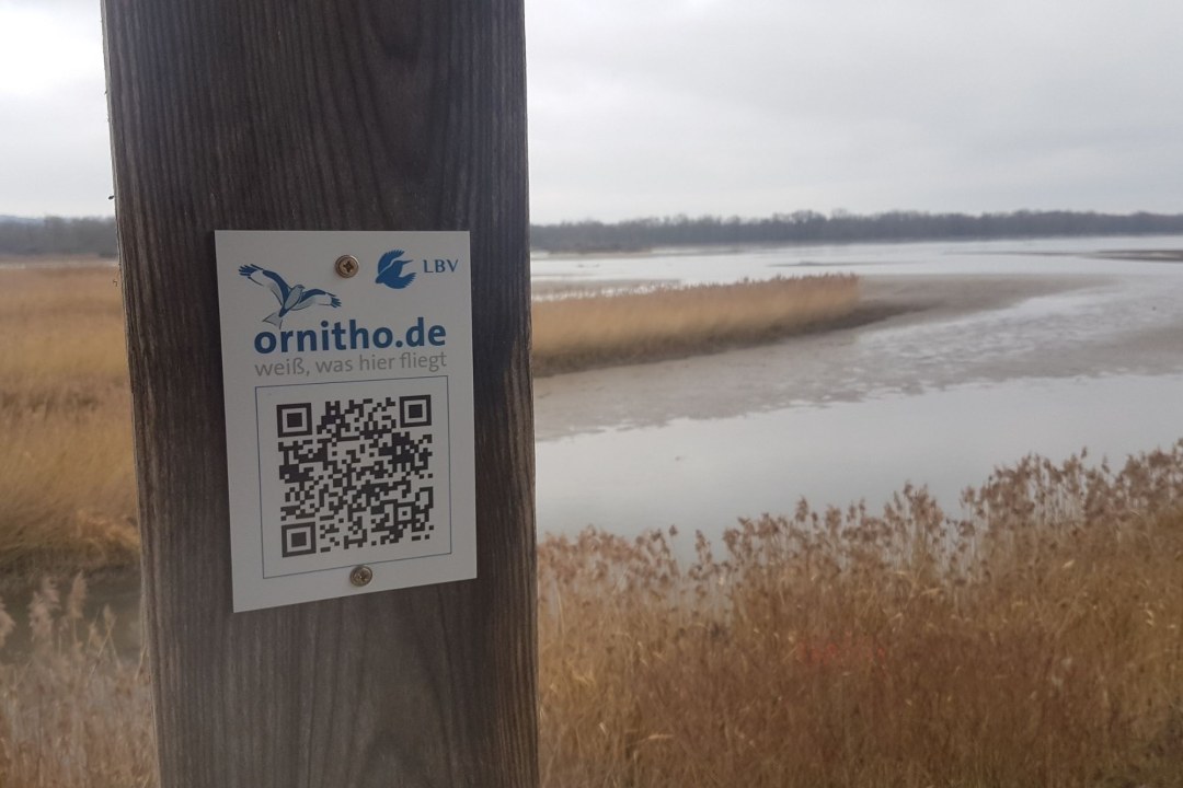 Echinger Stausee Vogelturm | © Simon Niederbacher