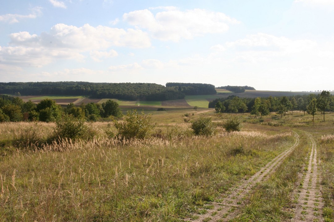 Ehemaliger Grenzstreifen im Projektgebiet Lange Berge | © Bernd Raab