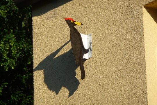 Schwarzspechtattrappe an einer Hausfassade | © Thomas Rödl