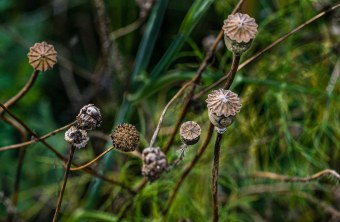 Hassberge | © Karlheinz Vogt (Hassberge)