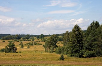 LBV-Schutzgebiet Georgenberg | © Julia Römheld
