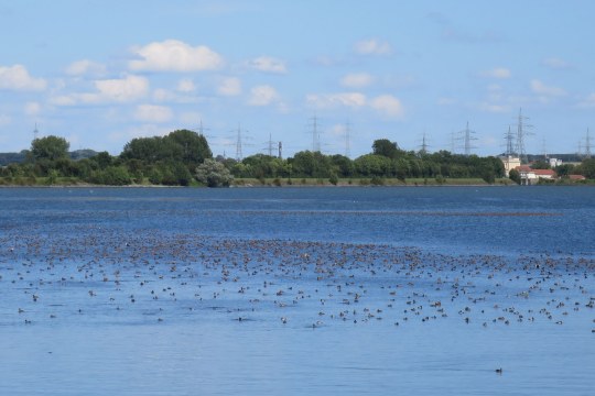 Ismaninger Speichersee | © Peter Köhler