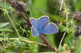 Stadt München | © Marion Ems (Stadt München)