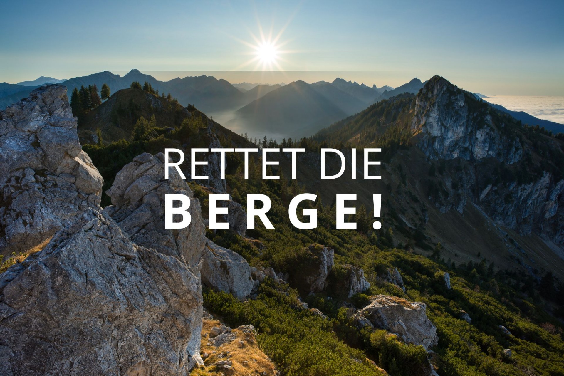 Buntspecht