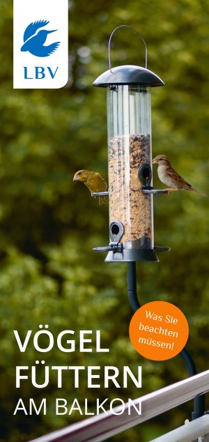 Flyer Vögel füttern am Balkon