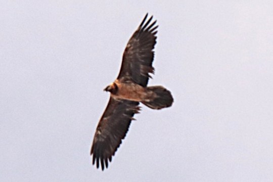 Recka im Januar 2026  |© Matthias Lehnert