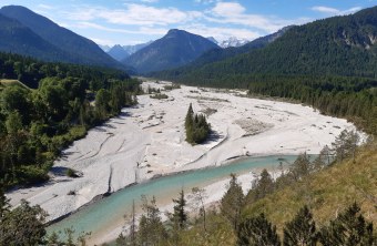 Rißbach - Alpenfluss mit trockenen Kiesbänken, Wald grenzt daran an. Im Hintergrund Berge | © Michael Schödl