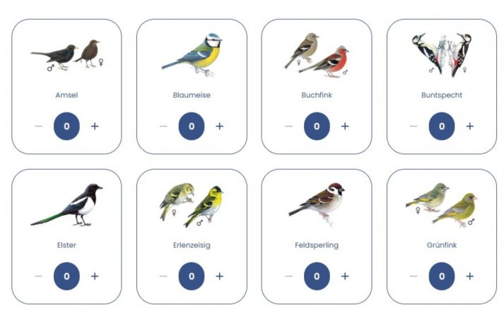 Illustrationen verschiedener Vögel wie Amsel und Blaumeise für die Aktion "Stunde der Wintervögel" vom LBV.