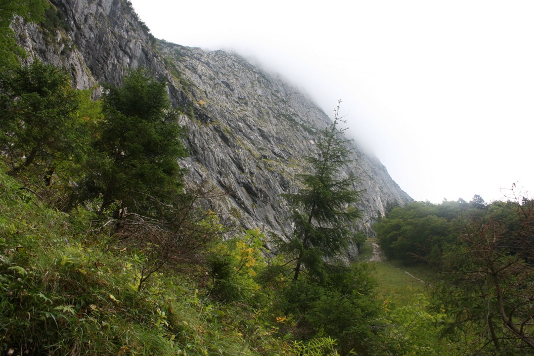Felsen mit Bäumen | ©Anne Schneider