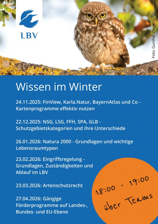 Ein kleiner Kauz sitzt auf einem Ast vor einem LBV-Plakat, das Winter-Wissen über Naturschutzrecht ankündigt.
