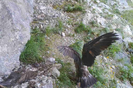 Dagmar und Recka bei einem wiederholten Besuch in der Nische |© Nationalpark Berchtesgaden/LBV