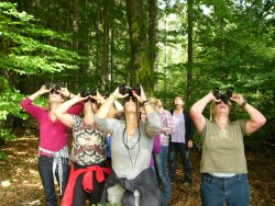 Vogelbeobachtung | © Martina Widuch