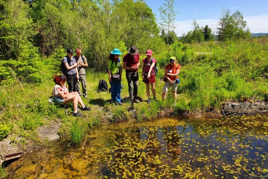 Amphibien- und Reptilienexkursion | © Christoph Binder