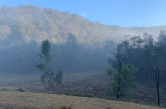 Australien | © Dawn Chorus