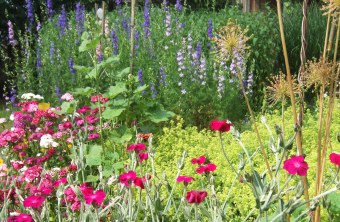 Garten mit blühenden Bauerngartenblumen | © Birgit Helbig